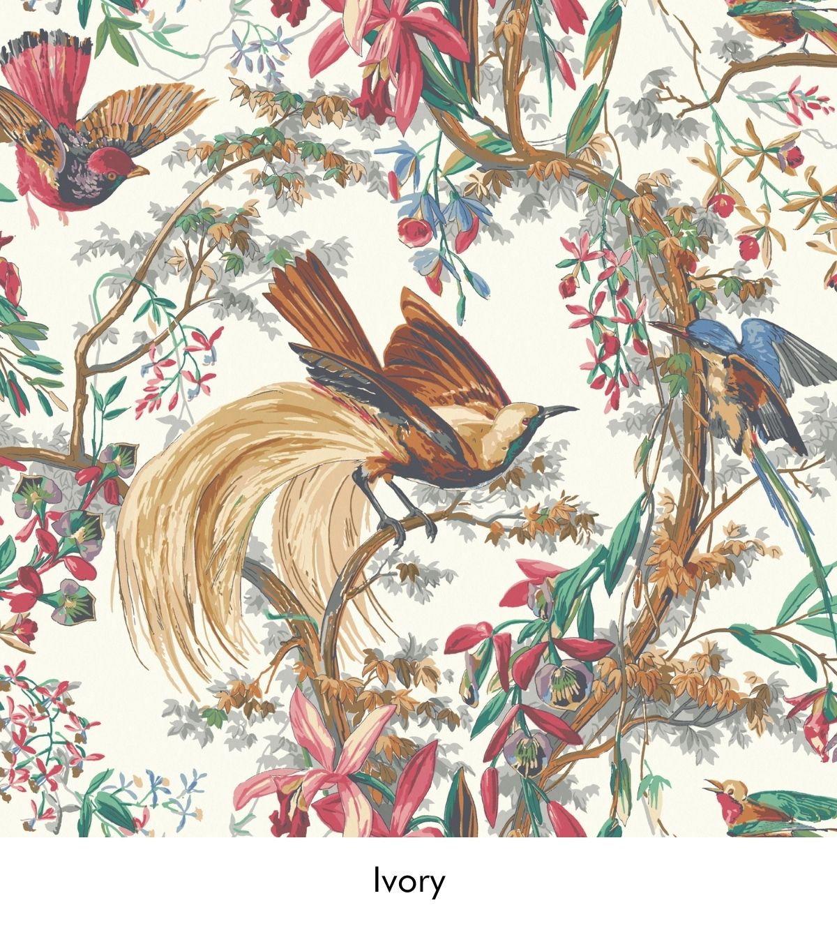 Warner House Birdsong Ivory