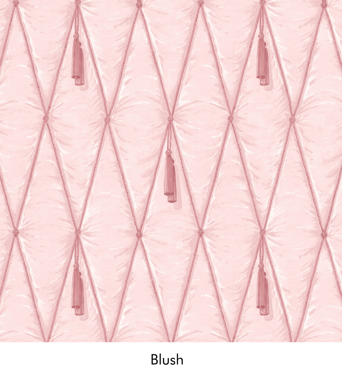 Warner House Tassels Blush